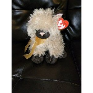 TY Classic Cassidy The Cat - 2005